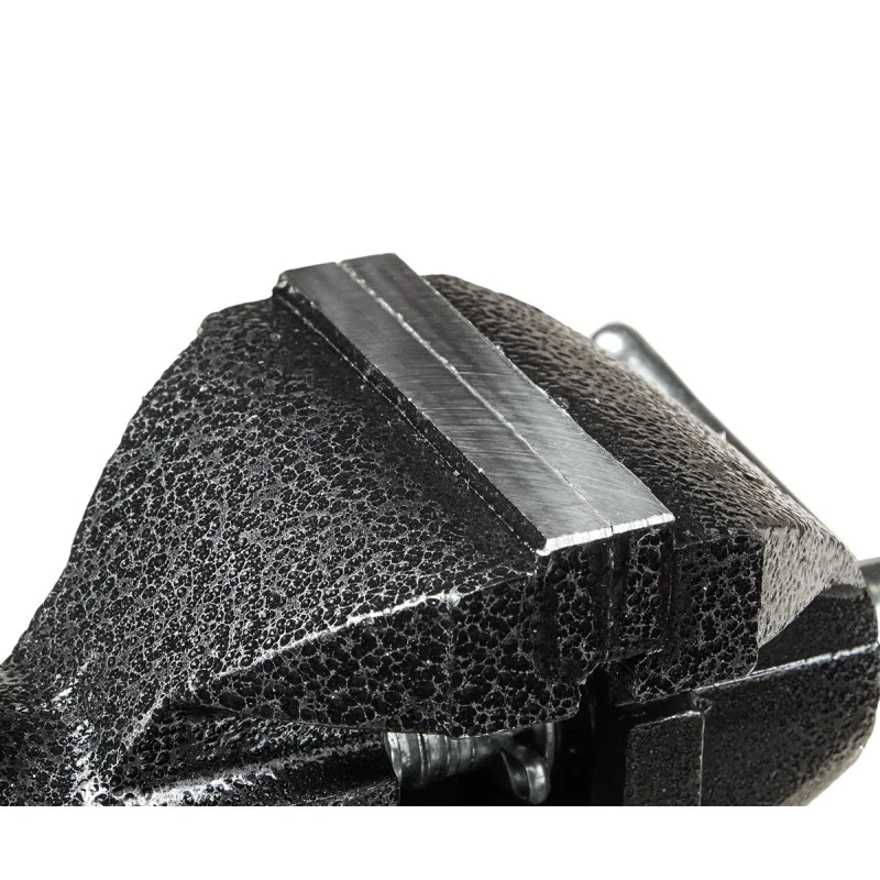 Лещата слюсарні поворотні Polax 100 мм з ковадлом (25-099)